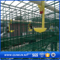 Automatic A Type Layer Cage Sales